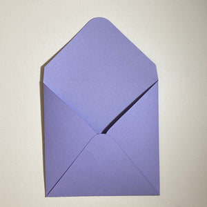 Anice V Flap Envelope   160
