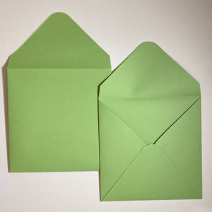 Bambou V Flap Envelope   160