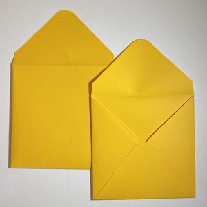 Mangue V Flap Envelope   160