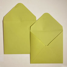 Load image into Gallery viewer, Pistachio V Flap Envelope   160
