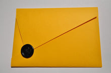 Load image into Gallery viewer, Mangue Asymmetrical Envelope