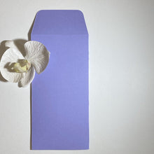 Load image into Gallery viewer, Anice DL Pocket Envelope