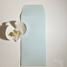 Load image into Gallery viewer, Aquamarina DL Pocket Envelope