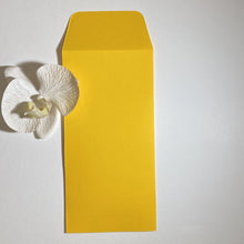 Load image into Gallery viewer, Mangue DL Pocket Envelope