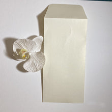 Load image into Gallery viewer, Merida Cream DL Pocket Envelope