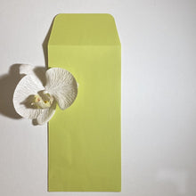 Load image into Gallery viewer, Pistachio DL Pocket Envelope