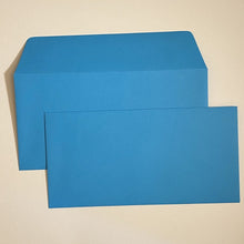 Load image into Gallery viewer, Arctique DL Wallet Envelope
