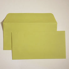 Load image into Gallery viewer, Pistachio DL Wallet Envelope