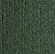 Load image into Gallery viewer, Felt Freelife