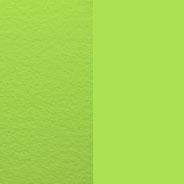 Load image into Gallery viewer, Bambou Square Tonic Card Folder