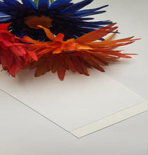 Load image into Gallery viewer, Natural Evolution