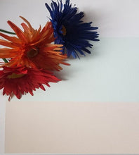 Load image into Gallery viewer, Nettuno