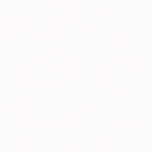 Load image into Gallery viewer, Plike