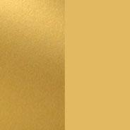 Gold Landscape Tonic Card Folder