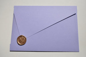 Anice Asymmetrical Envelope