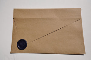Brown Asymmetrical Envelope
