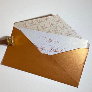  DL V Flap Envelope